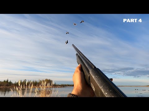 Видео: ОХОТА НА ТУРПАНА НА КОЛЫМЕ 2022. 4 СЕРИЯ