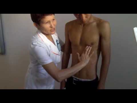 Видео: Жүрек пальпациясы - Ішкі аурулар пропедевтикасы