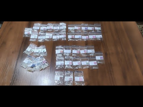 Видео: Обзор семян ПЕТУНИЙ на весну 2026. Самые красивые  сорта петунии. К новому сезону готова.