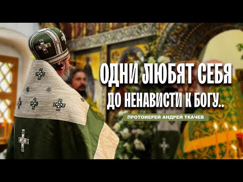 Видео: Другие любят Бога до ненависти к себе. Отец Андрей Ткачёв