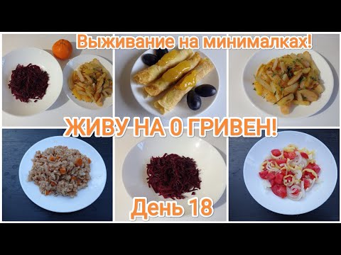 Видео: ЖИВУ НА 0 ГРИВЕН! День 18