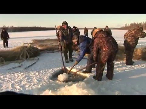Видео: Мунха - зимняя рыбалка неводом. Выпуск 27. (2009 г.)
