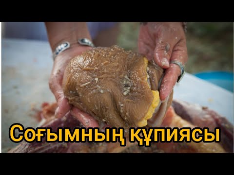 Видео: Деликатес. Жылқының қарын қартасын тазалау, маринадтау @InkaMaksovna​