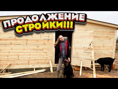 Видео: Строительство КОЗЛЯТНИКА. Стоимость сарая. Часть 2 | Молодая Ферма