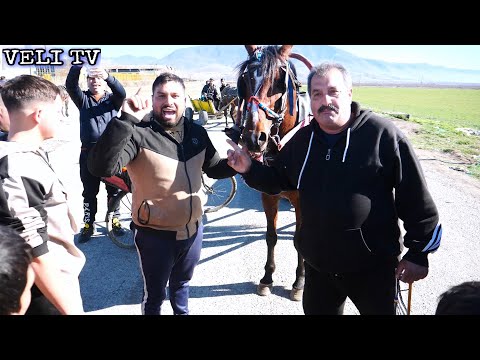 Видео: най силния кон Пашата 2025г.