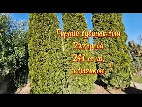 Видео: 199000 $    Будинок з ремонтом та меблями поряд з Ужгородом, на ділянці 22 сот (Закарпатська обл)