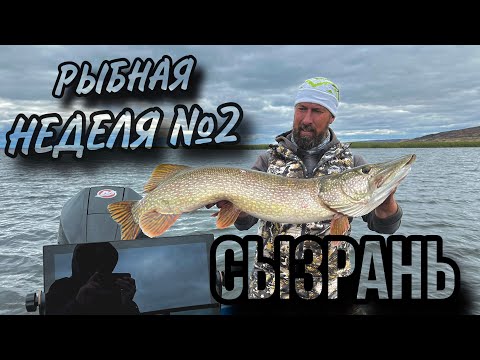 Видео: Рыбная неделя #2. Сызрань.