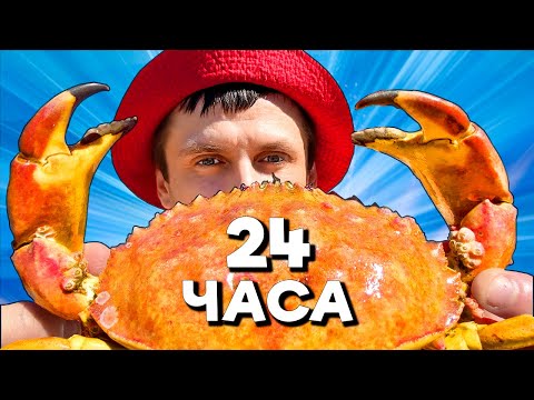 Видео: 24 ЧАСА - ОХОТА НА КРАБА ПАУКА. В ПОИСКАХ ЕДЫ С ЛОВУШКОЙ ALIEXPRESS. ЯПОНСКАЯ УЛИЧНАЯ ЕДА [2-Часть]