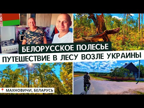 Видео: 🇧🇾 БЕЛОРУССКИЙ ЛЕС / КУШАЮ ЯГОДЫ / НА ВЕЛОСИПЕДЕ / ПОСЛЕ УРАГАНА /