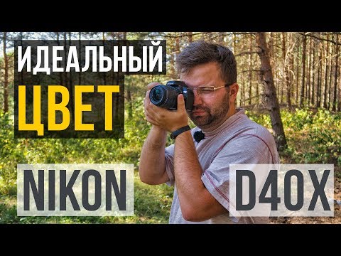 Видео: NIKON D40x - фотоаппарат с ИДЕАЛЬНОЙ ЦВЕТОПЕРЕДАЧЕЙ?