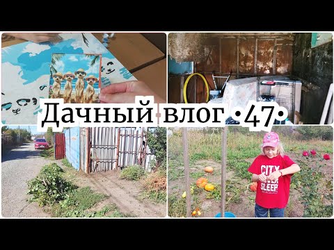 Видео: ПЛОДОТВОРНАЯ РАБОТА НА ДАЧЕ 🔥 С УТРА К СТОМАТОЛОГУ // УБОРКА В САДУ // СКОРО РЕМОНТ
