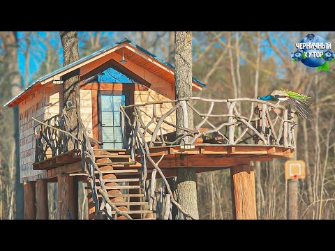 Видео: Жизнь семьи в лесном доме со счастливыми животными. Уха, распаковка посылки и установка верстака.