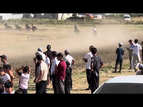 Видео: Псыж 2.400 дистанция Огонёк