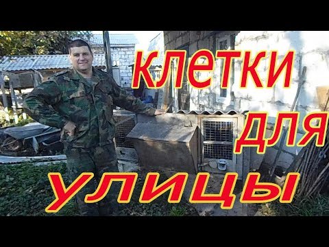 Видео: Клетки для кроликов из ДЕРЕВА!