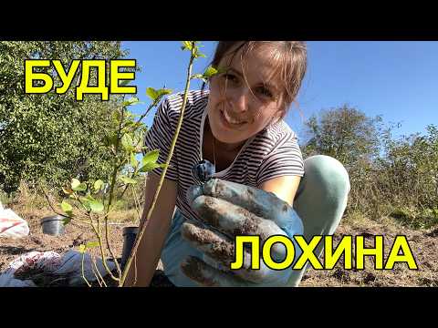 Видео: Катя і лохина. Любов із першого погляду