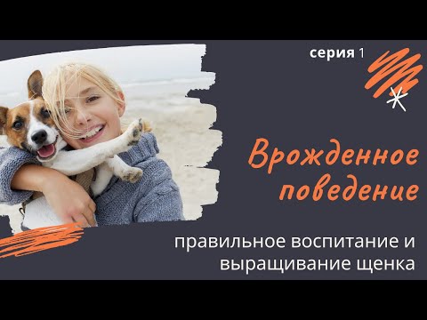 Видео: Врожденное поведение. Серия 1