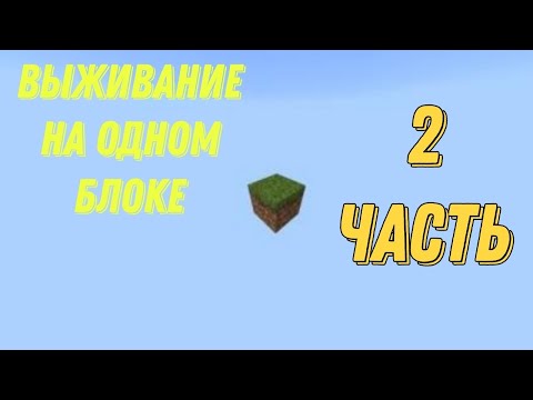 Видео: Выживание на 1 блоке (2 часть)