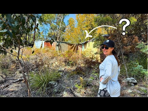 Видео: Вы не поверите, что мы нашли в лесу на нашей территории! #тасманийский #автономный #заброшенный