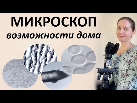 Видео: Кровь, волосы, клетки, бактерии под микроскопом.