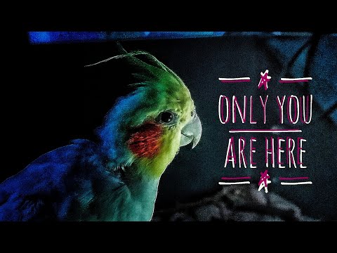 Видео: Only you are here | прохождение 2