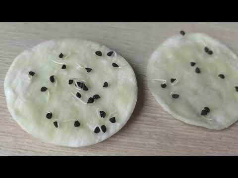 Видео: Лучший способ посева лука чернушки. Крупный репчатый лук из семян.