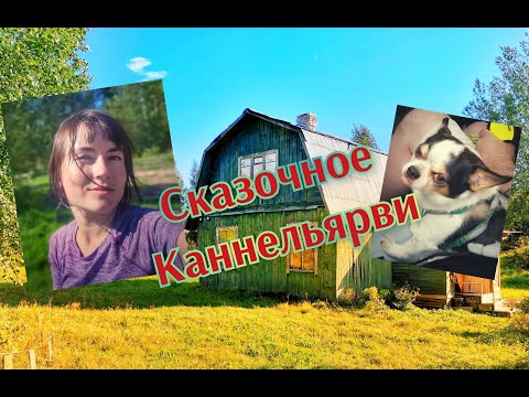 Видео: Сказочное Каннельярви
