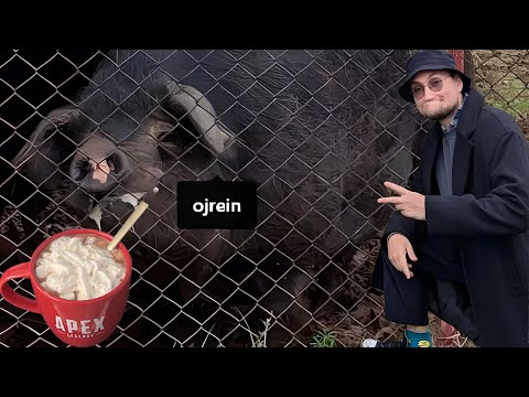 Видео: СПАСИБО ЗА ВСЕ | ЛУЧШИЕ КЛИПЫ 9IMPULSE