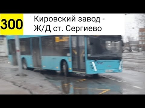 Видео: Автобус 300. Кировский завод - Ж/Д ст. Сергиево