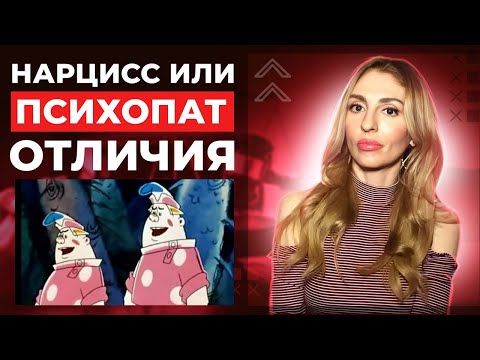 Видео: 🔺Отличия Нарцисса и Психопата🔻