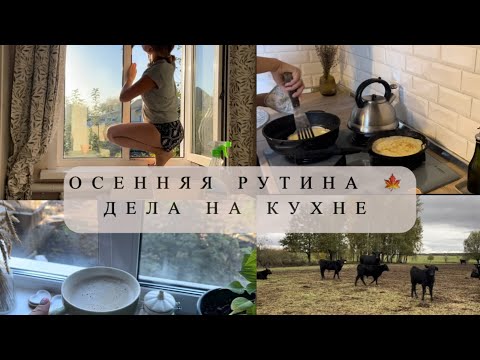 Видео: 🍁ОСЕННЯЯ РУТИНА🤎ДЕЛА НА КУХНЕ