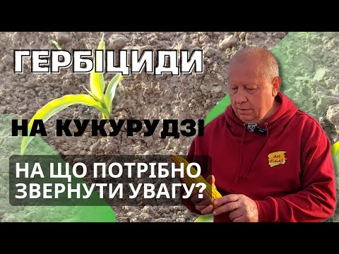 Видео: Гербіциди на кукурудзі 🌽🌽🌽. На що потрібно звернути yвагy? 👀