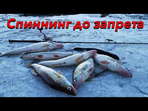 Видео: ЛОВЛЯ НА СПИННИНГ ВЕСНОЙ