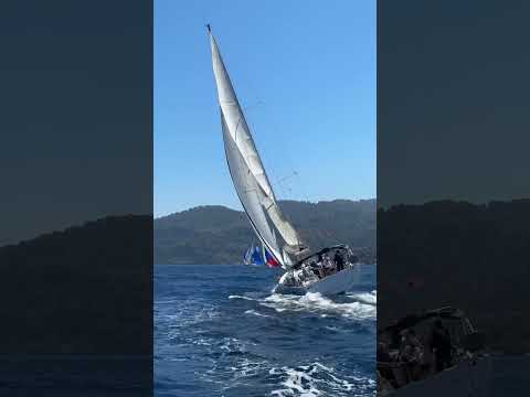 Видео: Open Sailing Week 2024 #яхтинг