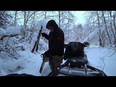 Видео: ДАЖЕ НЕМНОГО СТРАШНО, НО Я ТУДА ПРОШЁЛ! ГЛУХОЗИМЬЕ ИЛИ НЕТ? ЖЕРЛИЦЫ И КОМБАЙНЫ НА РЕКЕ \РЫБАЛКА 2025