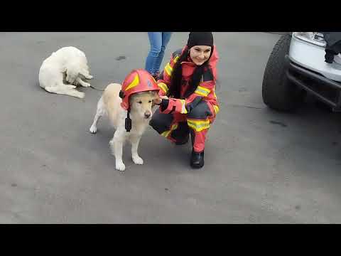 Видео: Захід ШКІЛЬНА БЕЗПЕКА / КСУ "ПОЛІССЯ"