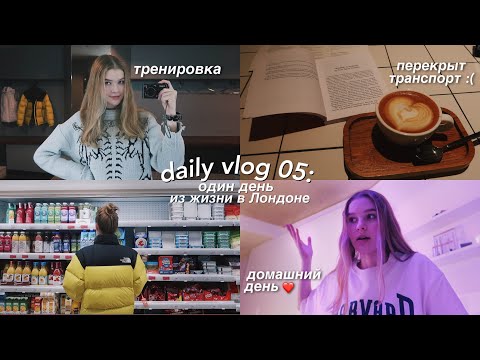 Видео: DAILY VLOG 05: домашний день со мной 🏡 // тренировка