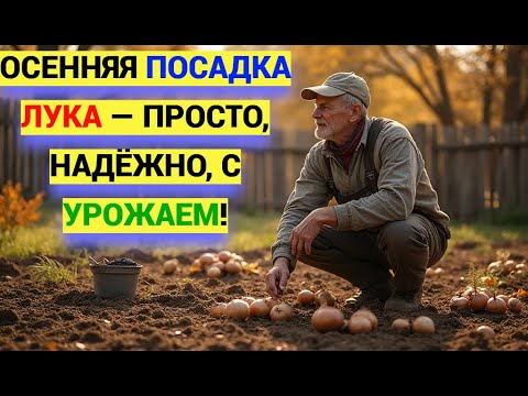 Видео: ЛУК под ЗИМУ: секрет осенней посадки для рекордного урожая!