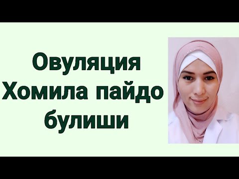 Видео: ОВУЛЯЦИЯ##Хомила пайдо булиши🥰 , тулик холда