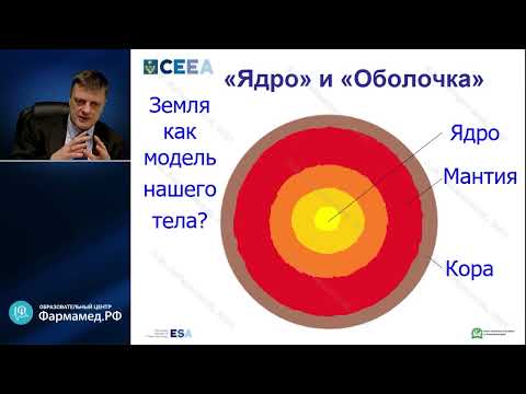 Видео: Терморегуляция и её нарушения Лебединский К.М.