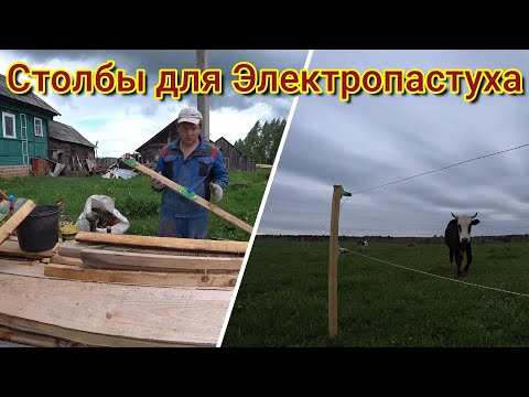 Видео: Бесплатные столбы для электропастуха. Самодельные изоляторы. Экономия на электроизгороди для коров.