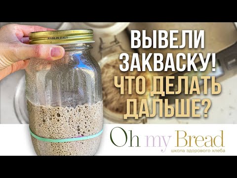 Видео: Вывели закваску! Что делать дальше?