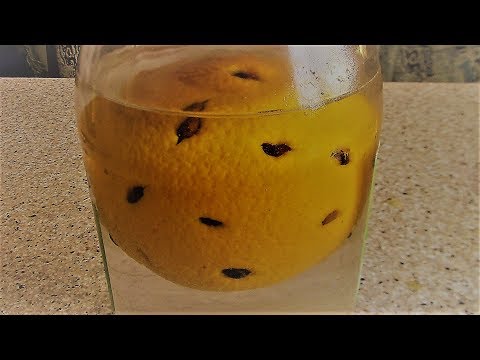 Видео: Апельсиновая Кофейная настойка Рецепт