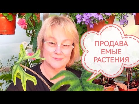 Видео: Какие растения выгодно продавать. Беседа 2.