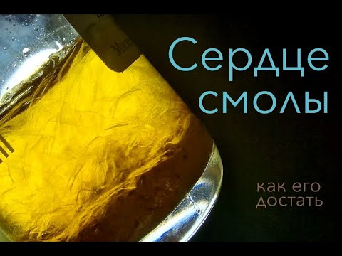 Видео: Парфюмерные дневники Ясина Анвари. Сердце смолы.