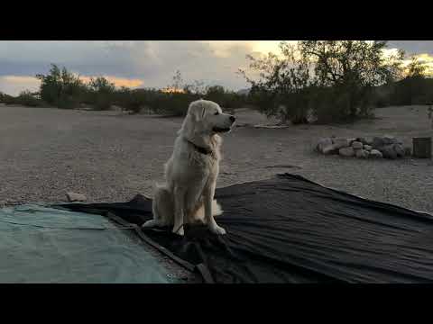 Видео: Quartzsite изменился | По крайней мере, для меня.
