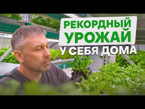 Видео: Выращивание ЗЕЛЕНИ — ИДЕАЛЬНЫЙ бизнес! / ПОЧЕМУ вам НУЖНЫ кроптейнеры?