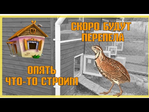 Видео: Опять что то строим. Будут перепела. Изменения в курятнике.