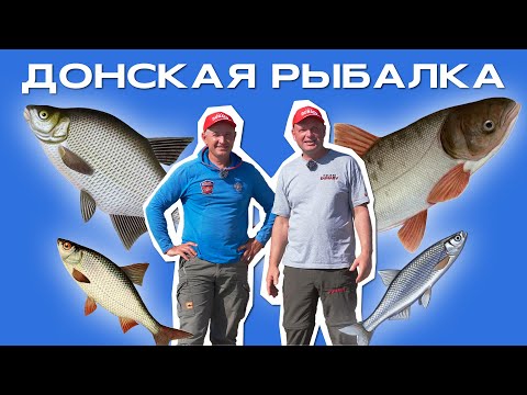 Видео: СЕВЕРНЫЙ рыболов на ЮЖНОЙ реке: рыбалка на ТОЛСТОЛОБИКА и ЛЕЩА