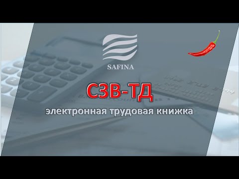 Видео: СЗВ-ТД  2020г.