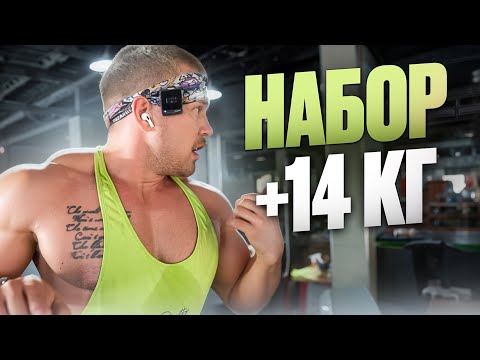 Видео: Набор + 14 кг за месяц. Курс. Силовые. Тренировки.